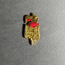 پین فلزی گوارش گلد